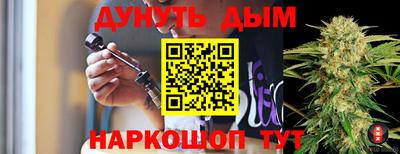 индика Заводоуковск