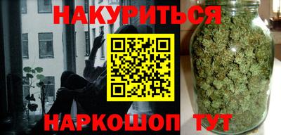 индика Заводоуковск