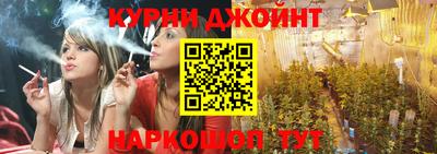 индика Заводоуковск