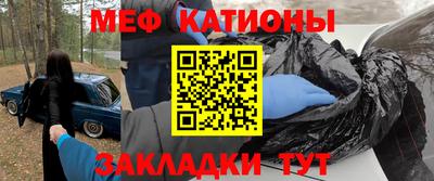 индика Заводоуковск