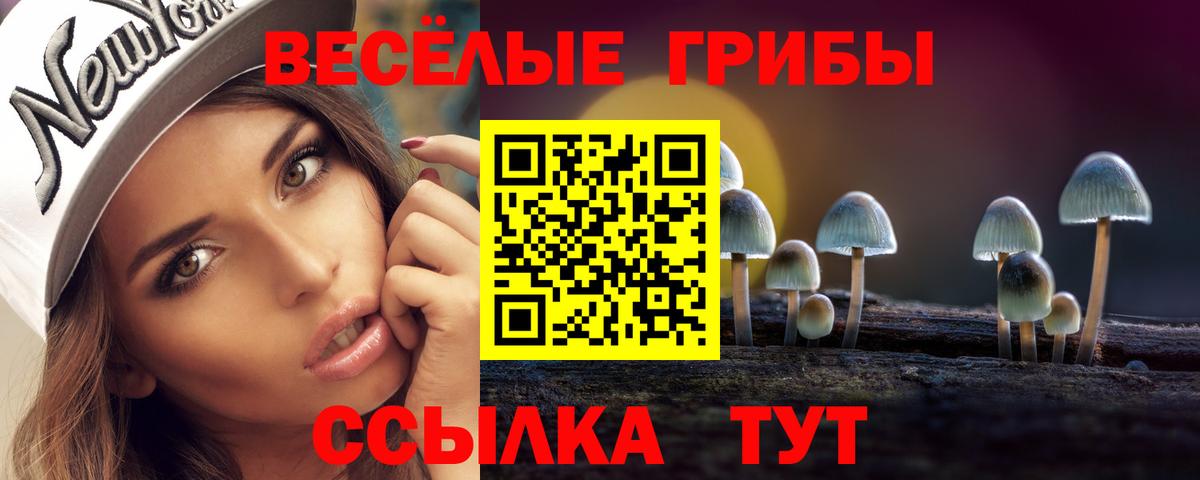 Майский  Галлюциногенные грибы Psilocybine cubensis  как найти закладки  Галлюциногенные грибы Psilocybe  Вход с VPN 