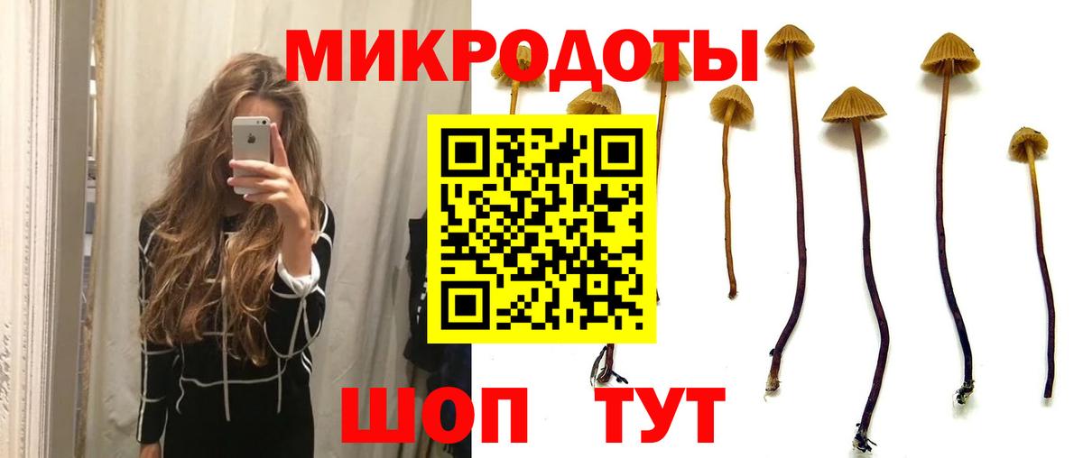 Псилоцибиновые грибы прущие грибы Майский